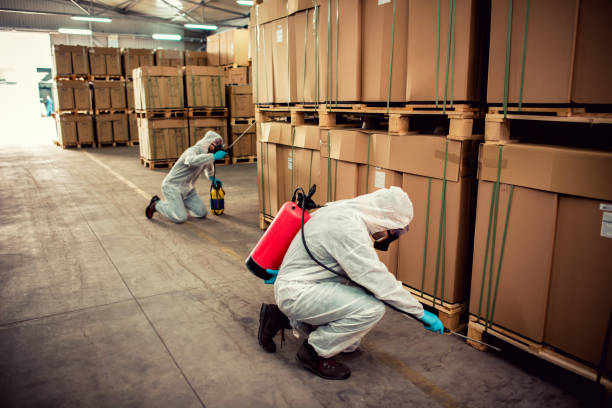 Best Flea Control Services  in Varnville, SC