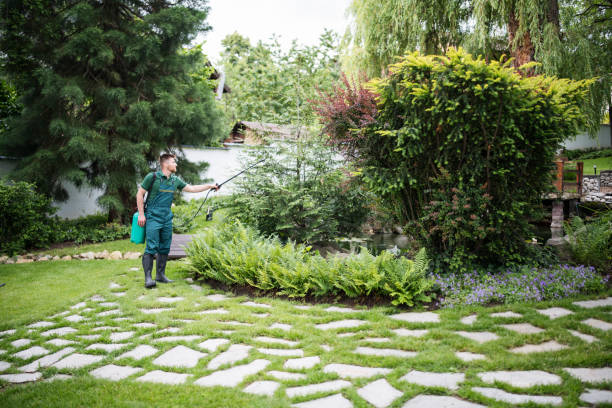 Best Best Pest Control Companies  in Varnville, SC