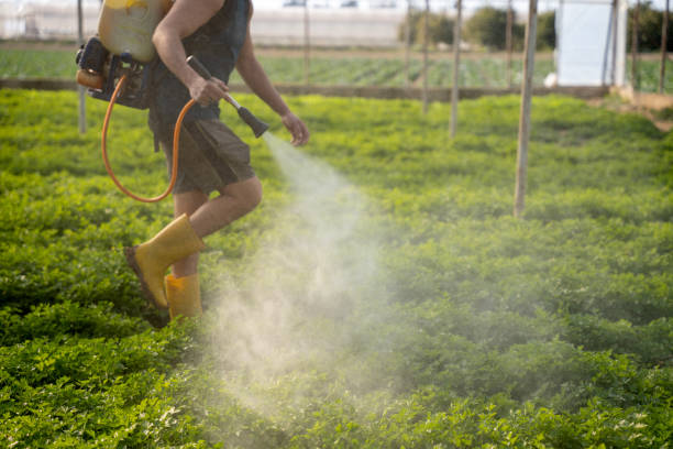 Best Pest Removal Services  in Varnville, SC