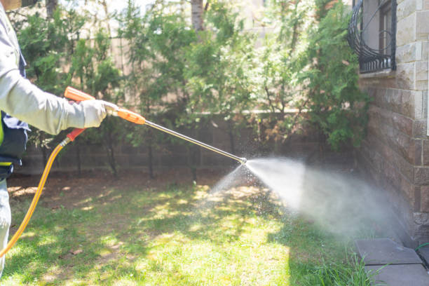 Best Cockroach Control Services  in Varnville, SC