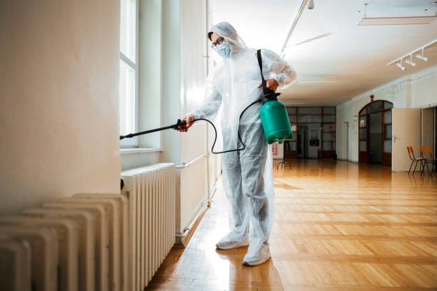 Best Flea Control Services  in Varnville, SC