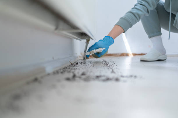 Best Pest Prevention Services  in Varnville, SC